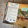DINOSAURS AND PREHISTORIC BEASTS