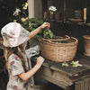 Olli Ella Basque Basket