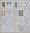 Nature Flashcards - 123