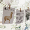Nature Flashcards - ABC