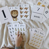 Nature Flashcards - 123