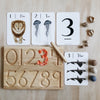 Nature Flashcards - 123