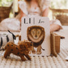 Nature Flashcards - ABC