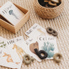 Nature Flashcards - ABC