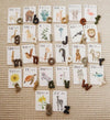 Nature Flashcards - ABC