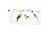 Bird Families Card Game
