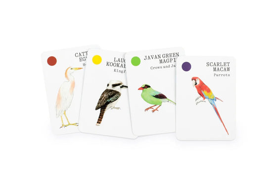 Bird Families Card Game