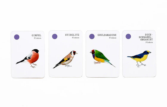 Bird Families Card Game