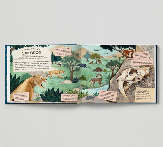 Fossil Keeper’s Treasure