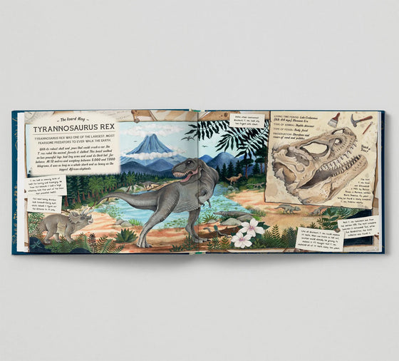 Fossil Keeper’s Treasure