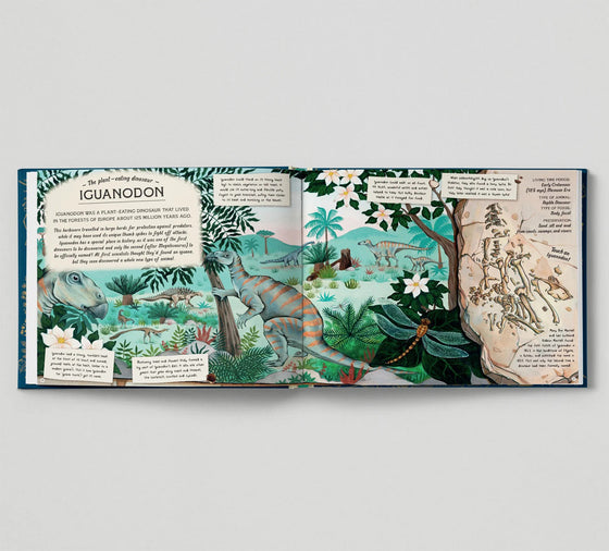 Fossil Keeper’s Treasure