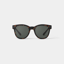  Adult Sunglasses - SUN #N - Tortoise