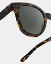 Adult Sunglasses - SUN #N - Tortoise