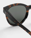 Adult Sunglasses - SUN #N - Tortoise