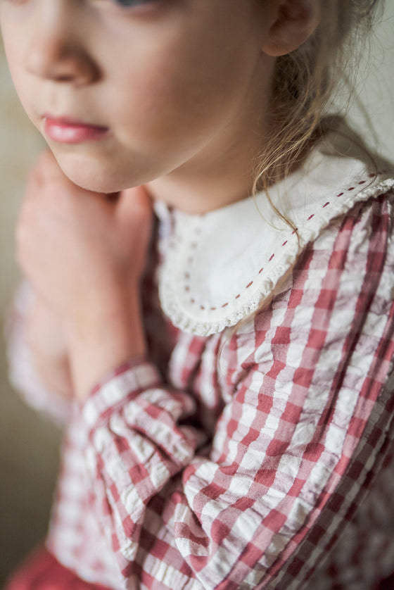 Little Cotton Clothes Smocked Catherine Blouse Apple Butter Gingham