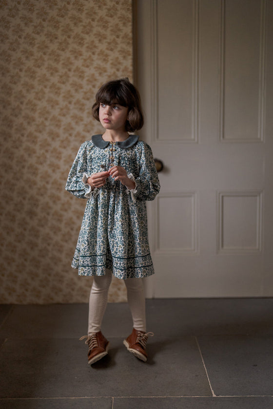 Little Cotton Clothes Tessa Dress Midwinter Floral