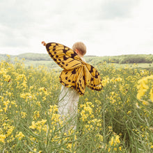  Lue Kids Butterfly Wings Fire Curry