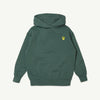 Main Story Hoodie Balsam Green