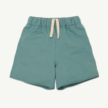  Main Story Skate Short Smoke Blue