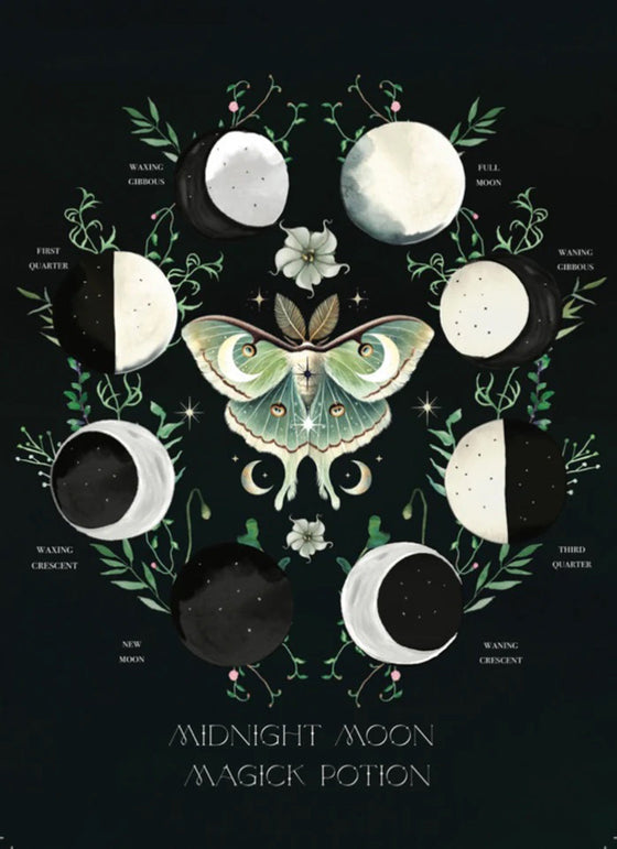 Moon Beams and Moss Moon Magic Kit