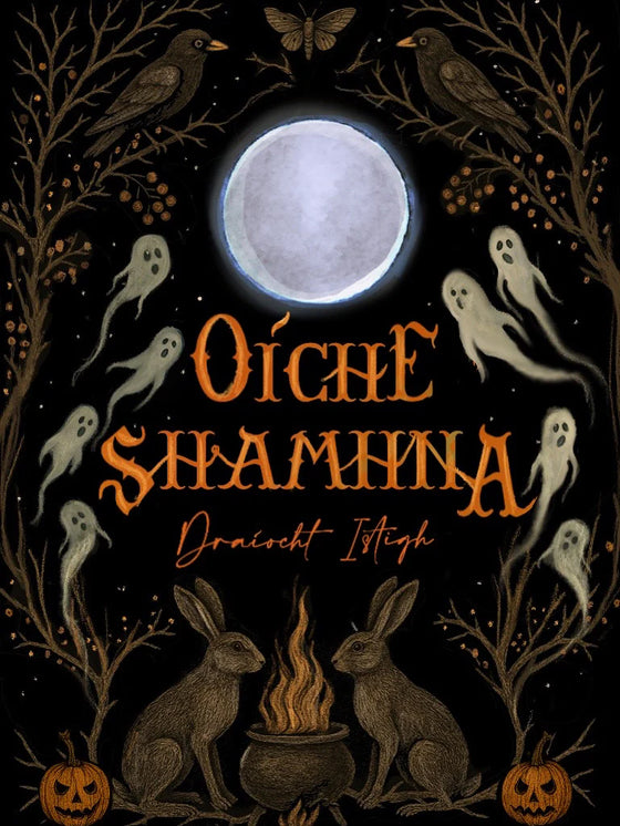 Oiche Shamhna Potion Kit