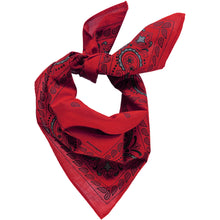  Poudre Organic FOULARD BANDANA Rooibos Tea