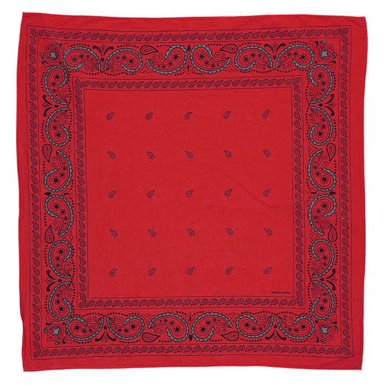 Poudre Organic FOULARD BANDANA Rooibos Tea