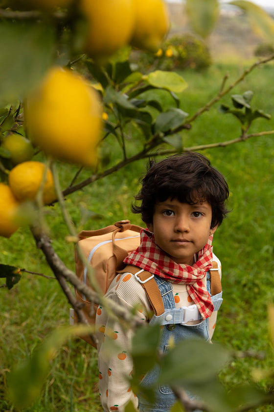 Sticky Lemon backpack small farmhouse envelope pear jam