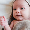 Moly Towel Swaddle - Dino