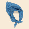 Apolina | Signature Voile Scarf - Book Blue