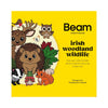 Irish Woodland Wildlife - Activity Book and Giant Colouring Poster by Beam