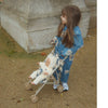 Doll Stroller - Swan