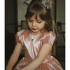 Fia Dress - Silver Pink