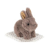 Take Care of Me - Bunny
