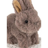 Take Care of Me - Bunny