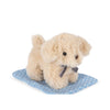 Take Care of Me - Dog