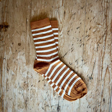  Adult Elis stripe socks - Meerkat