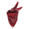 Foulard Bandana - Equestrian Red