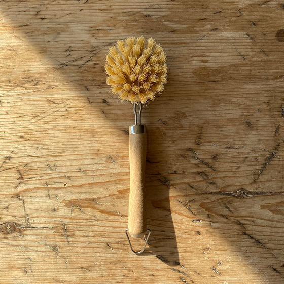 Dish Brush